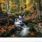 Text: "Im Walde, im Walde, da wird mir so licht... Aus: ‚Im Walde‘ von Achim von Arnim."  
Herbstwald mit Bach und Moos.