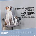 "Kollege abzugeben. Super Zustand, aber leider unbrauchbar." Ein Hund und eine Katze sitzen gemeinsam auf einem Bürostuhl.