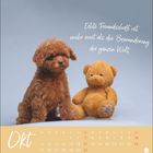 "Echte Freundschaft ist mehr wert als die Bewunderung der ganzen Welt." Ein kleiner Hund neben einem Teddybär. Darunter ein Oktoberkalender.