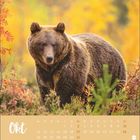 Okt, Kalender mit Bär in herbstlicher Landschaft, warmen Farben und Pflanzen im Vordergrund.