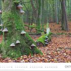 Text: "OKTOBER". Ein moosbedeckter Baumstamm im herbstlichen Wald mit Baumpilzen, umgeben von Laub auf dem Boden.