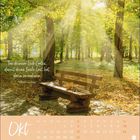 Zitat: "Tue deinem Leib Gutes, damit deine Seele Lust hat, darin zu wohnen." Darunter: "Theresa von Avila". Darunter Kalender für Oktober.