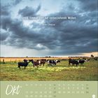 Zitat: "Graue Himmel sind nur vorbeiziehende Wolken." Duke Ellington. Kühe auf einer Wiese unter bewölktem Himmel.