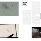 Zwei Textblock mit Titel "Capricious Shadow" und "Michael T. Taussig". Enthält Schwarz-Weiß-Fotos und eine Projektion.