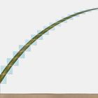 Text: "Big Comet Sky-Land-Sky 3°– 50° 1973". Bild zeigt eine diagonale Linie von Fotos mit einem Gras/Streifenmotiv.