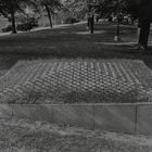 Eine rechteckige Rasenfläche in einem Park, von Betonplatten umgeben, mit Bäumen im Hintergrund.