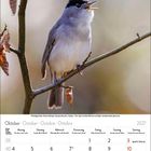 Oktober 2027 Kalender mit Datumsangaben. Vogel sitzt auf einem Ast mit einigen braunen Blättern.