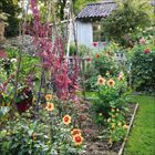 Es gibt keinen Text im Bild. Ein blühender Garten mit bunten Blumen, roten und gelben Blüten, und einem kleinen blauen Häuschen.
