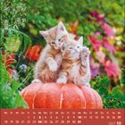 Kalenderblatt für Oktober 2027. Zwei Kätzchen sitzen auf einem Kürbis in einem bunten Garten, umgeben von Herbstlaub.