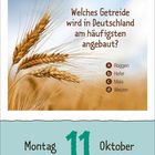 "Welches Getreide wird in Deutschland am häufigsten angebaut? Montag 11 Oktober." Bild von Weizenähren.