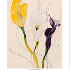 Kalenderblatt Oktober 2023, zeigt eine Aquarellillustration von drei Calla-Lilien in Gelb, Weiß und Lila.