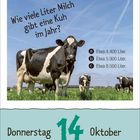 „Wie viele Liter Milch gibt eine Kuh im Jahr?“ Optionen: a) 4.400 b) 5.900 c) 8.500. Donnerstag, 14. Oktober. Kühe auf der Weide.