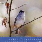Kalender für Oktober 2027. Ein Vogel auf einem Zweig mit einigen verbliebenen Blättern.