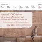 Text: "Vor rund 2000 Jahren hörten wir Menschen auf, Katzen als Götter anzubeten. Leider hat man es bis heute versäumt, KATZEN darüber zu informieren."

Oben sind die Wochentage vom 9. bis 15. August 2027 aufgeführt. Eine Katze sitzt in einem antik aussehenden Steinhintergrund.