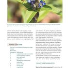 Text: "Die Rote-Liste-Arten", Kategorien von "0" bis "nb", bedeuten z.B. "ausgestorben" bis "nicht bewertet".  
Bildunterschrift: Kreuz-Enzian, Gartenwollbiene.