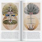 Links: „Tree of Knowledge, The W Series, Nr. 1, 1913“; rechts: „Yggdrasil“. Zwei abstrakte Baum-Illustrationen in einem Buch.