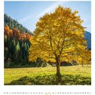 Kalender: Monat Oktober. Ein Baum mit gelbem Laub steht in einer herbstlichen Landschaft mit grünen Hügeln.