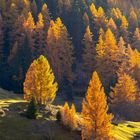 Der Zauber des Herbstes hat die Landschaft erfasst; jetzt, da der Sommer vorbei ist, ist die Zeit reif für Besinnung.