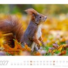 "10 2027" und "Eurasisches Eichhörnchen" erscheinen auf einem Kalender. Ein Eichhörnchen steht in buntem Herbstlaub.