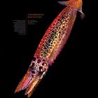 Text: "TODARODES PACIFICUS", "OKTOBER". Eine bunte Illustration eines Oktopus auf schwarzem Hintergrund, unten ein Kalender.