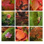 Kalenderseite mit der Nummer 10. Neun Bilder zeigen herbstliche Szenen mit buntem Laub, einem Pilz und einem Specht.