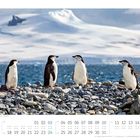 Zügelpinguine am Strand vor verschneiten Bergen. Kalender für Oktober 2023 mit Datumsangaben und Feiertagen.