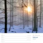 06. Woche, Februar 2027. Kalenderseite. Bild: Winterwald im Nebel, Sonnenaufgang zwischen kahlen Bäumen.