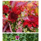 Kalender für Oktober 2023 mit herbstlichen Blumenarrangements und Körben voller Nüsse und Kürbisse.