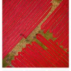 14 So, 06. Woche 2027, Februar. Rote Stoffbahnen werden auf Gras zum Trocknen ausgelegt, Menschen verteilen die Stoffe.