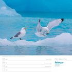 Februar 2027. Woche 6. Ereignisse: Rosenmontag, Faschingsdienstag, Aschermittwoch, Valentinstag. Zwei Möwen auf Eis.