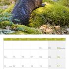 Kalender Oktober 2027. Feiertage: 03 Tag der Deutschen Einheit, 09 Erntedanktag (D), 31 Reformationstag. Ein Otter im Wald.
