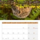 03 Tag der Deutschen Einheit, 31 Reformationstag. Ein Igel spiegelt sich im Wasser. Kalenderseite für Oktober 2027.