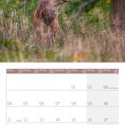 Kalender für Oktober 2027 mit Feiertagen wie Tag der Deutschen Einheit und Halloween. Bild von Rothirsch im Wald.