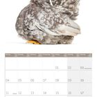 Der Kalender zeigt die Tage im Oktober. Oben ist ein flauschiges, graues Huhn zu sehen.