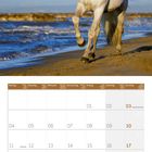 Kalenderblatt für Oktober 2027 mit einem weißen Pferd am Strand. Feiertage: Tag der Deutschen Einheit, Columbus Day, Reformationstag.