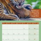 "Fünf Minuten dumm stellen erspart oft eine ganze Menge Arbeit." Ein Tiger liegt entspannt im Grünen. Kalenderblatt für Oktober 2027.