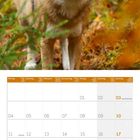 Kalender für Oktober 2027, mit markierten Feiertagen: Tag der Deutschen Einheit (3.), Columbus Day (11.), Reformationstag (31.). Oben ein Wolf im Wald.