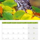 Kalendarium Oktober 2027, mit deutschem Feiertag "Tag der Deutschen Einheit". Foto: Eule zwischen bunten Herbstblättern.