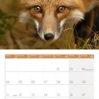 Kalenderseite Oktober 2027 mit Feiertagen wie Tag der Deutschen Einheit. Darüber Großaufnahme eines Fuchses im Gras.