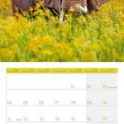 Ein Kalender zeigt Oktober 2027. Oben ein Elefant in einem Feld mit gelben Blumen vor blauem Himmel.