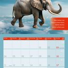 Zitat: „Wer immer tut, was er schon kann, bleibt immer, was er schon war.“ Ein Elefant schwebt mit bunten Ballons. Oktober 2027.