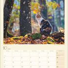 Monatskalender für Oktober 2027. Darunter ein Bild einer Katze im herbstlichen Wald auf einem Baumstamm.