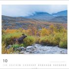 Text: Reposaken, Nationalpark, Sarek, Nachholservice. Szene: Ein Elch steht nahe einem Fluss, umgeben von herbstlichen Bäumen und Bergen im Hintergrund.