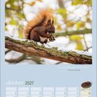 Die Worte "Die Welt gehört dem, der sie genießt." und "oktober 2027". Ein rotes Eichhörnchen mit Zapfen auf einem schneebedeckten Ast.