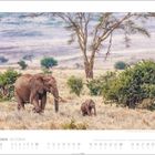 Oktober 2022 Kalenderblatt: Zwei Elefanten gehen durch eine Savannenlandschaft mit Bäumen im Hintergrund.