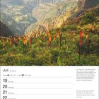 Juli, Kalenderwoche 29. Zitate: "Blumen sind das Lächeln der Natur." Landschaft mit Bergen und orange-roten Blumen.