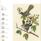 Juli, 29. Woche, 19-25 Montag-Sonntag, Katzendrosseln. Zwei Vögel auf einem Ast mit Beeren.