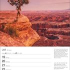 Juli. Ein knorriger Utah-Wacholder im Canyonlands National Park, grandiose Aussicht, zitiert Rachel Carson zur Erdschönheit.