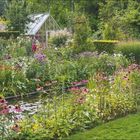 "Klare Linien. Juli 28. Woche." Ein üppiger Garten mit farbenfrohen Blumen und einem kleinen Glashaus im Hintergrund.