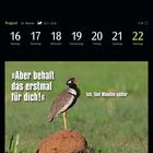 Kalenderwoche im August, Tage 16 bis 22. Text: „Aber behalt das erstmal für dich!“ darunter ein schreiender Vogel.
